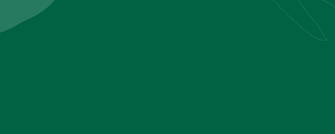 스타벅스 banner