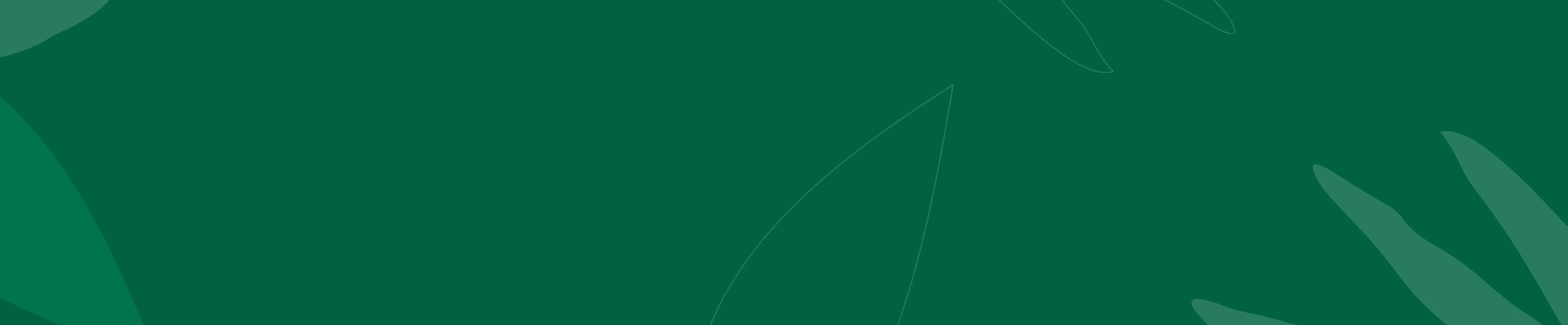 스타벅스 banner