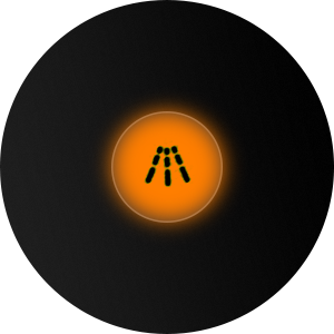 Descaling indicator