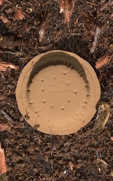 composted soil