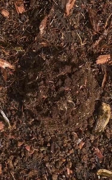 composted soil