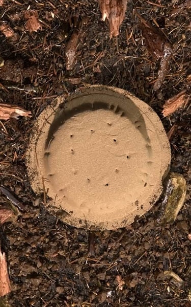 composted soil