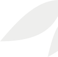 header grey leaf