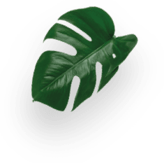 리스트레토 아덴자 decoration Image
